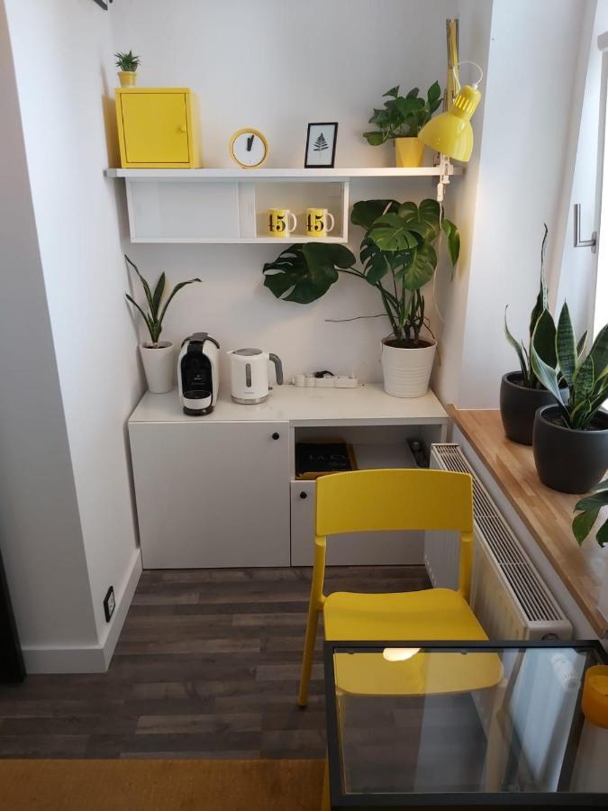 Apartament Na Wyspie Opole Kültér fotó